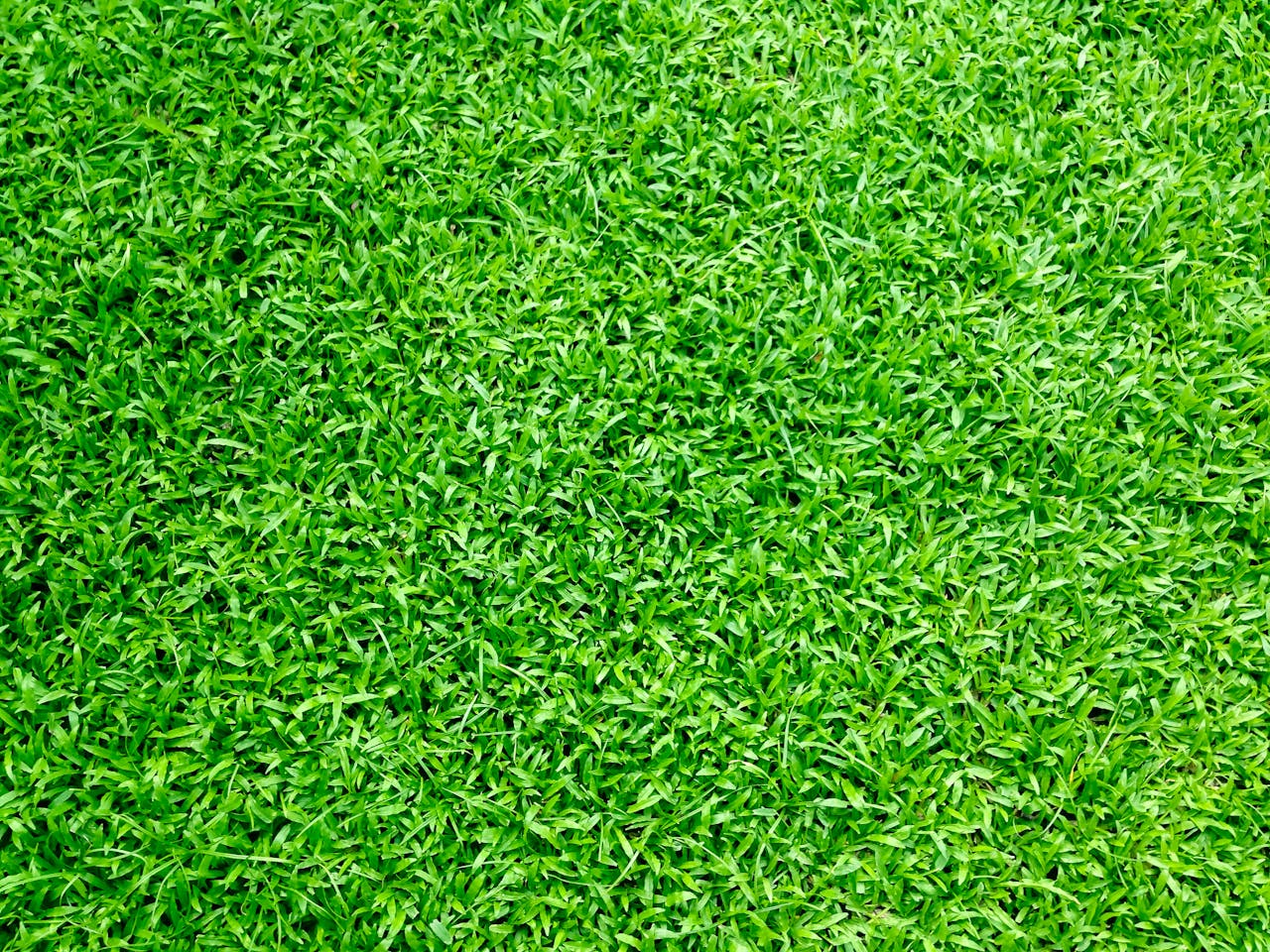 kunstgras kunstgras